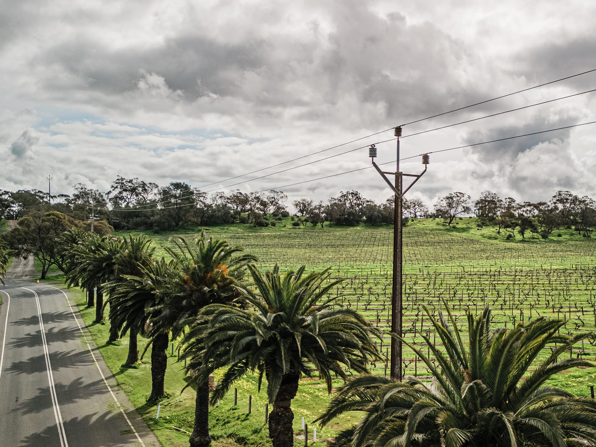 Powerlines and palms discussed at SRBA meeting