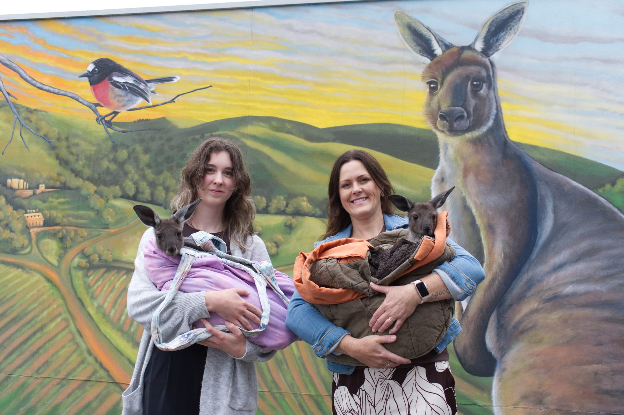 Drawing attention to local wildlife