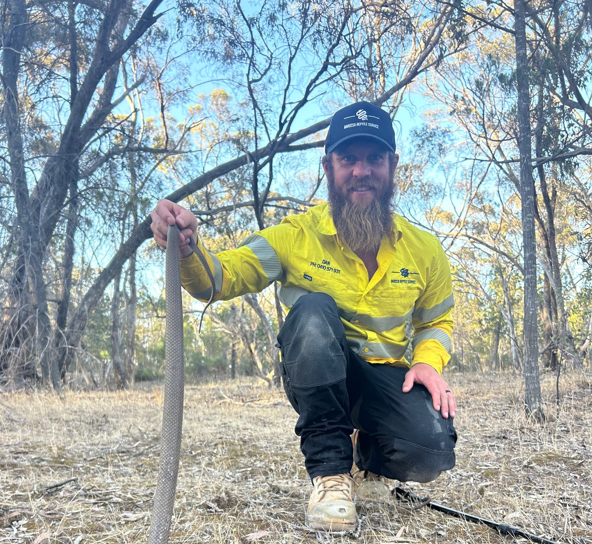 Keep an eye out for snakes this hiss-mass