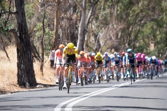 Tour de Barossa