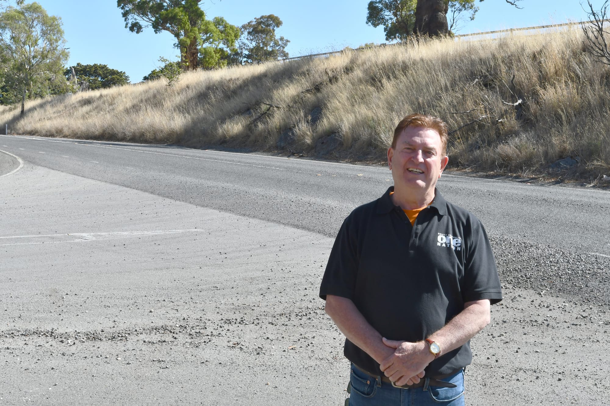 Preece calls for Eden Valley Road works