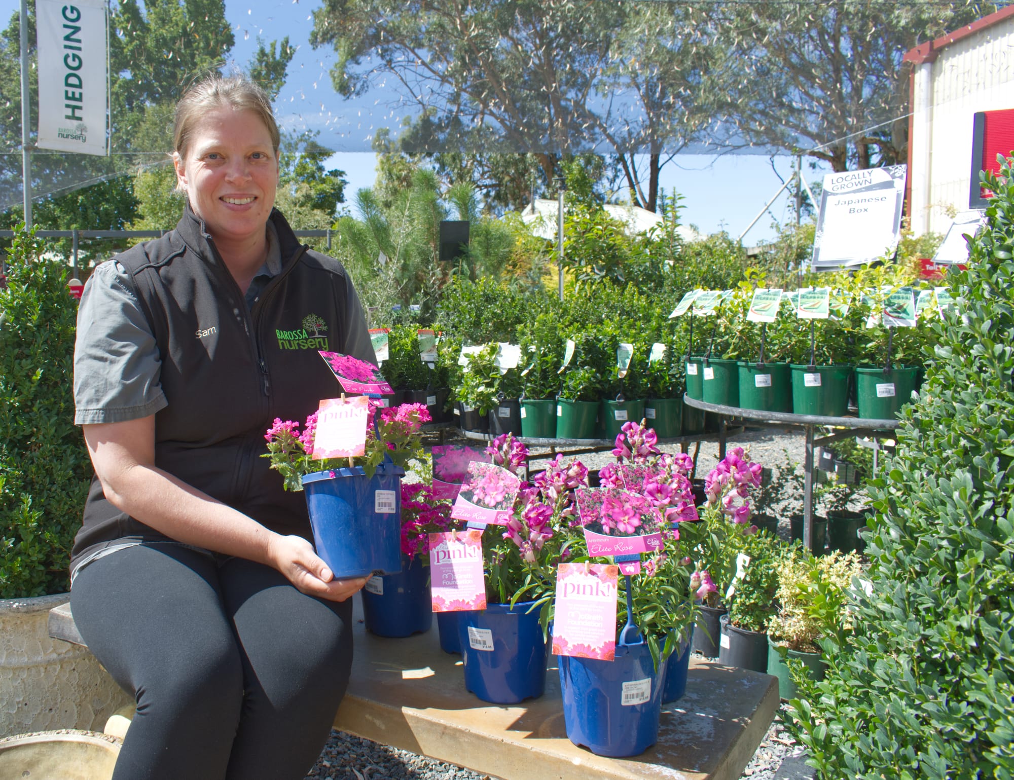 Turning pink for cancer research