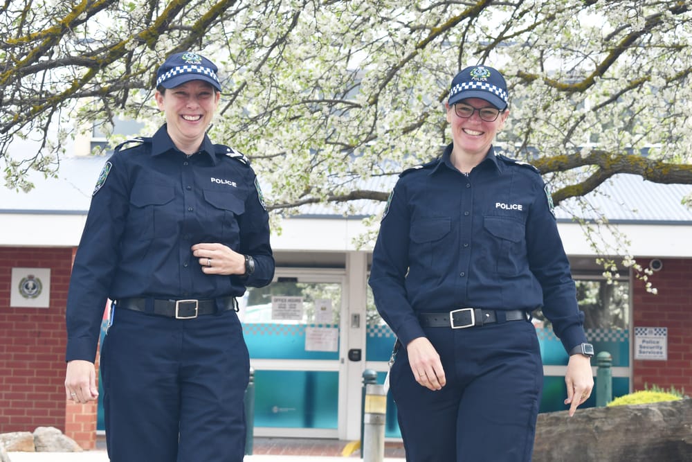 Not just a walk in the park post image