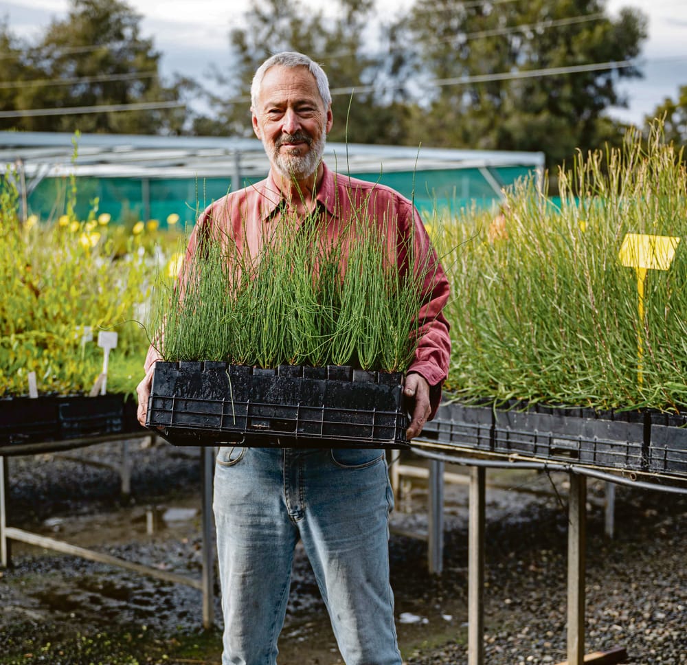 Tree Scheme restoring our green space post image