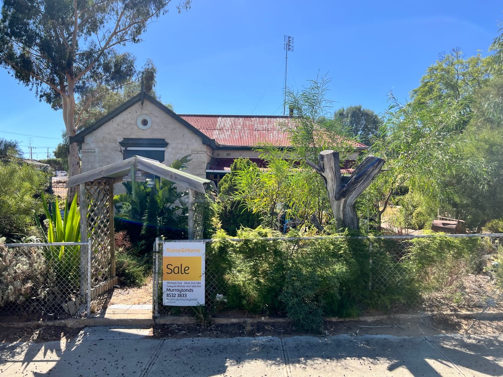 Swan Reach sale a spectacle post image