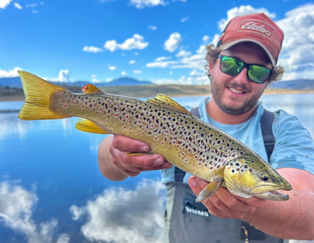 Barossans fishing big post image