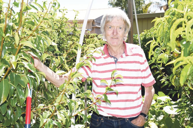 Kevin’s green thumb and sustainable garden post image