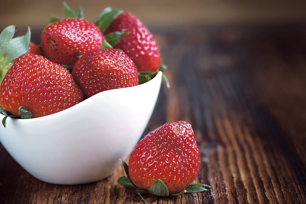 July in the garden post image