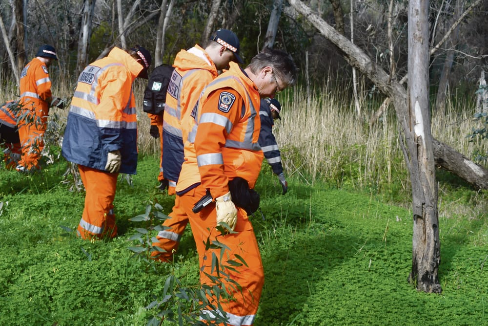 Williamstown remains identified as missing person post image