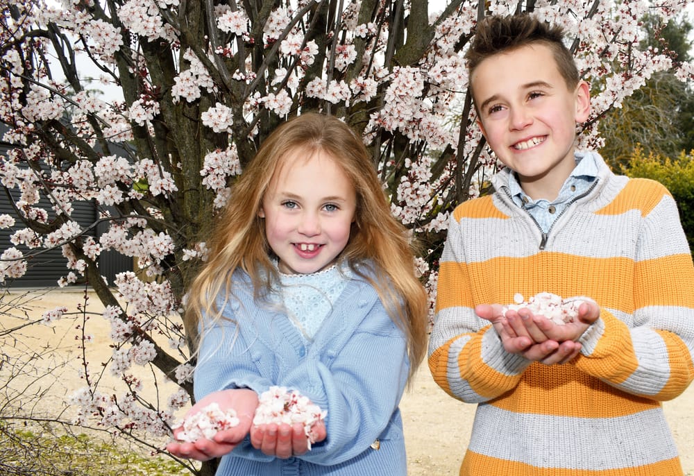 Spring has blossomed! post image