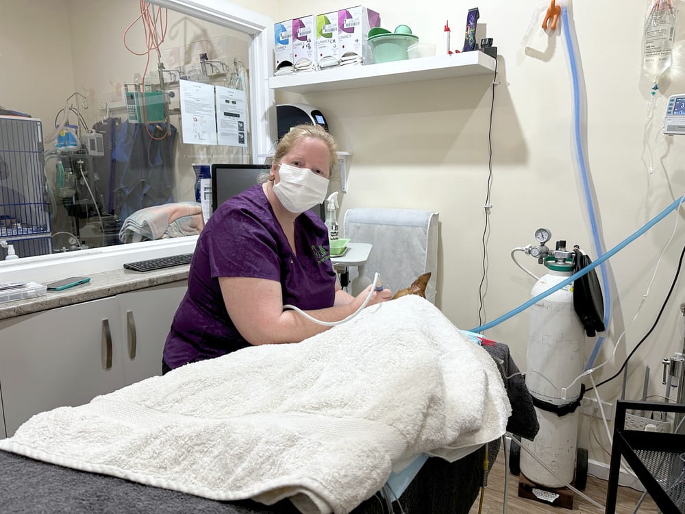 “If you don’t know, please don’t try!” says local veterinarian post image