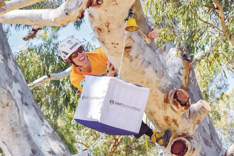 Branched Out scales new heights for Kapunda post image