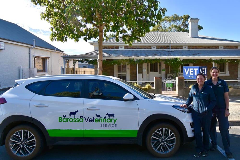 Barossa Veterinary Service post image