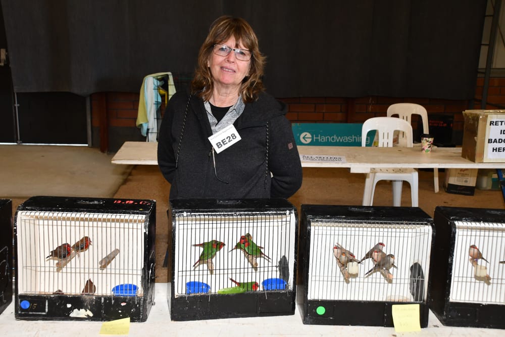 Birds of a feather post image