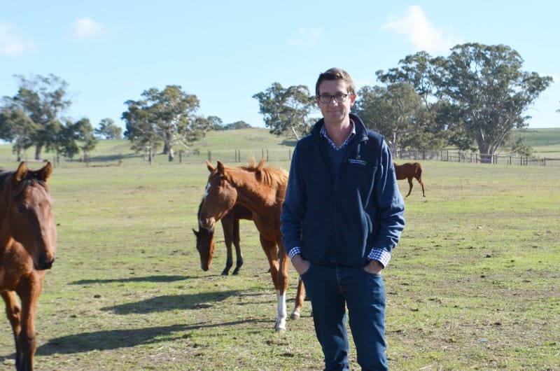 SA’s racing industry at risk post image