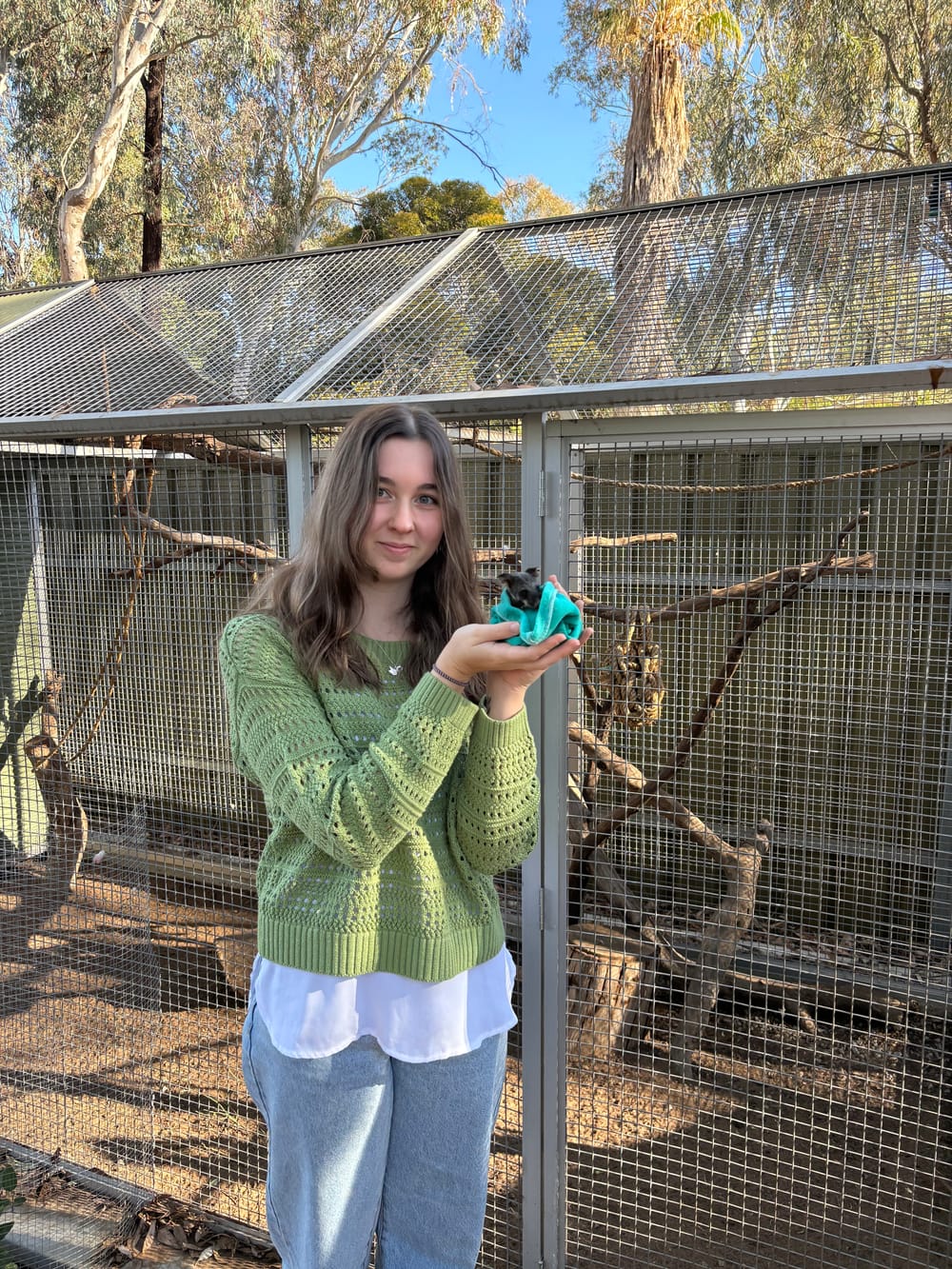 A Co-operative effort to help fund possum ‘palaces’ post image