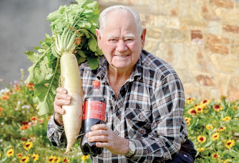 Hefty radish has Merv reminiscing post image