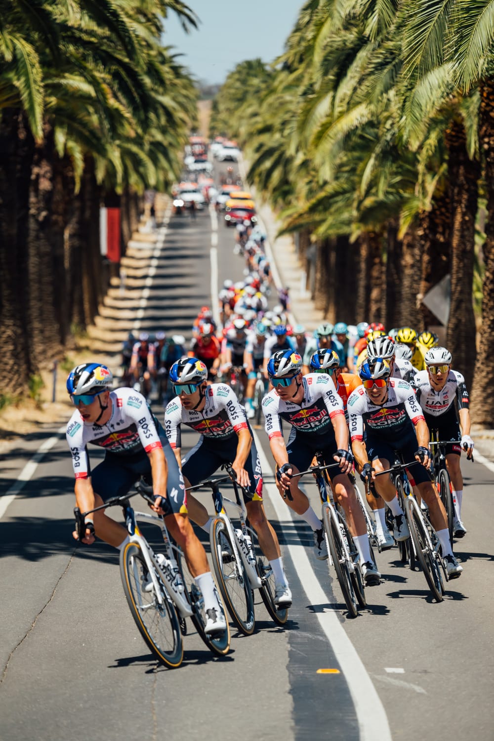 TDU women's race Barossa bound post image