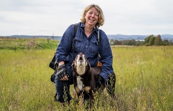 K9s to the search and rescue post image