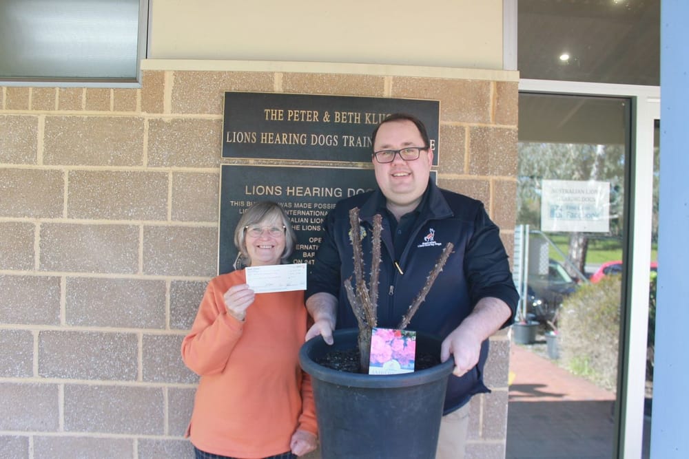 A rose by any other sound post image