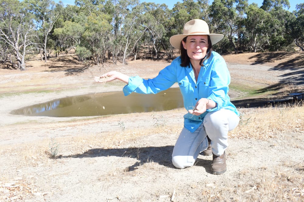 Drought relief post image