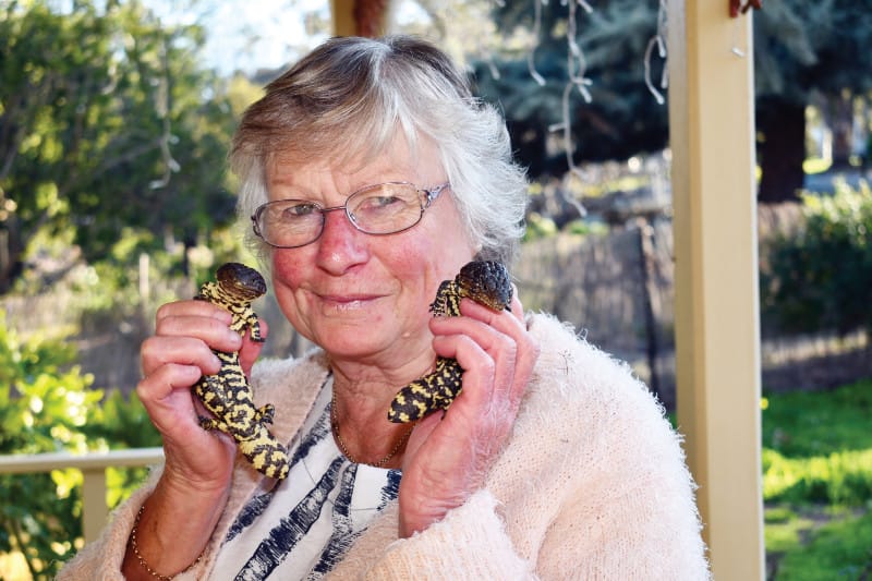 Barossa Wildlife Rescue pushes through pandemic post image