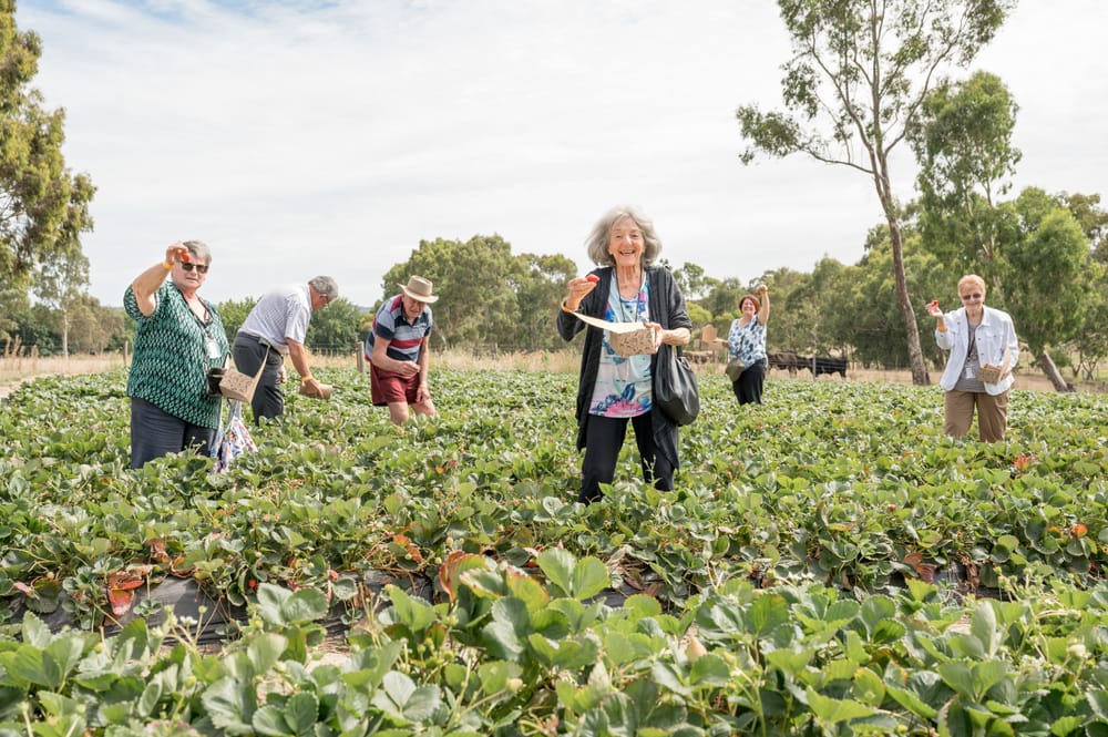 Embracing Social Connection post image