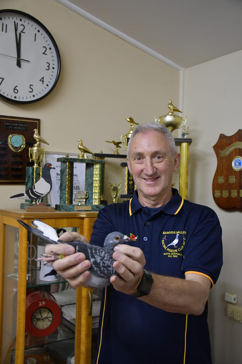 Racing pigeons – thoroughbreds of the sky post image