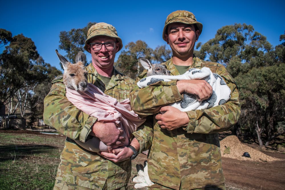 Kangaroo Sanctuary becomes a roo-ality post image