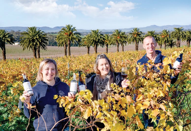 New normal begins as cellar doors re-open post image