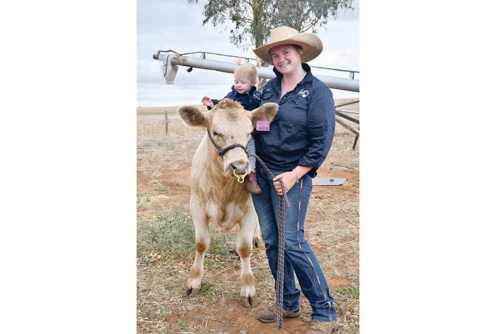 It’s time to put on a show! post image