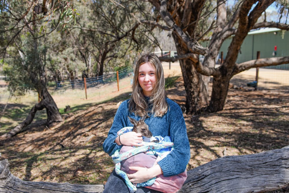 Wildlife sanctuary soon to open post image