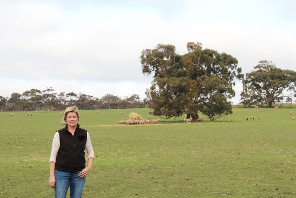 Livestock farmers strategise amidst tough season post image