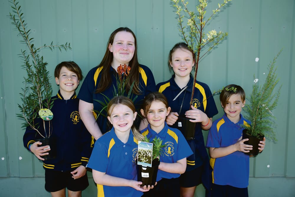 Green thumbs and plenty of fun at Nuri Primary post image