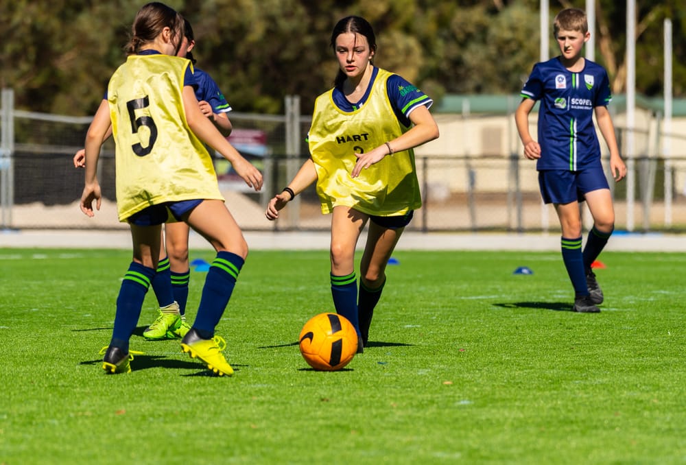 Matildas success set to inspire junior growth post image