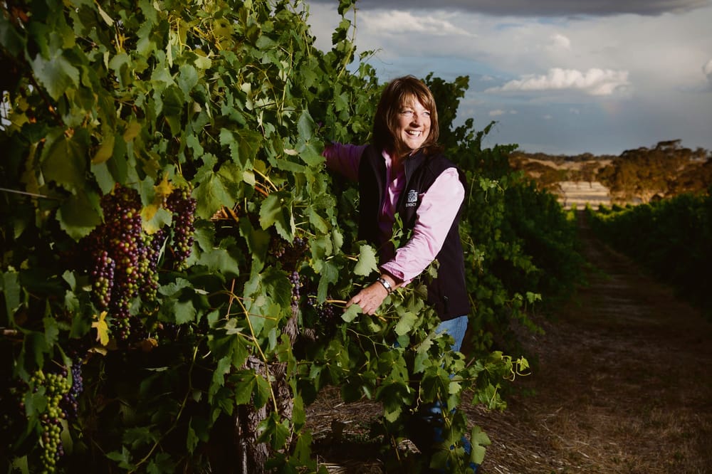 Henschke Shiraz travels first class on Korean Air post image