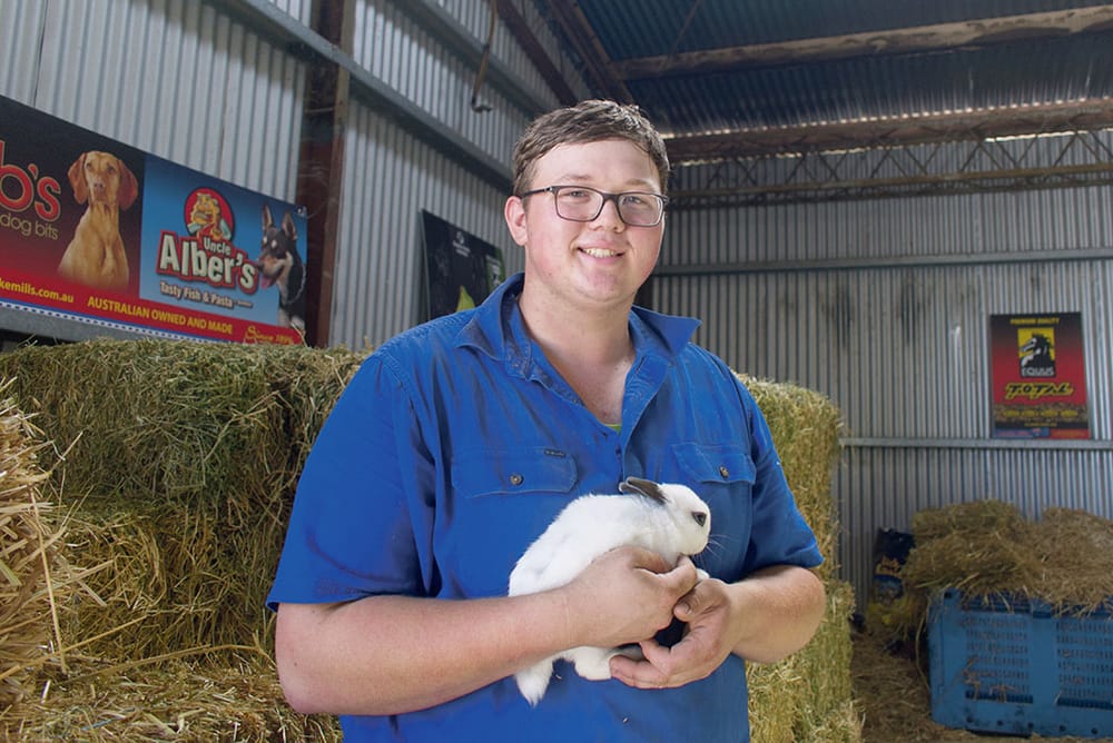 All systems go for Angaston Show post image
