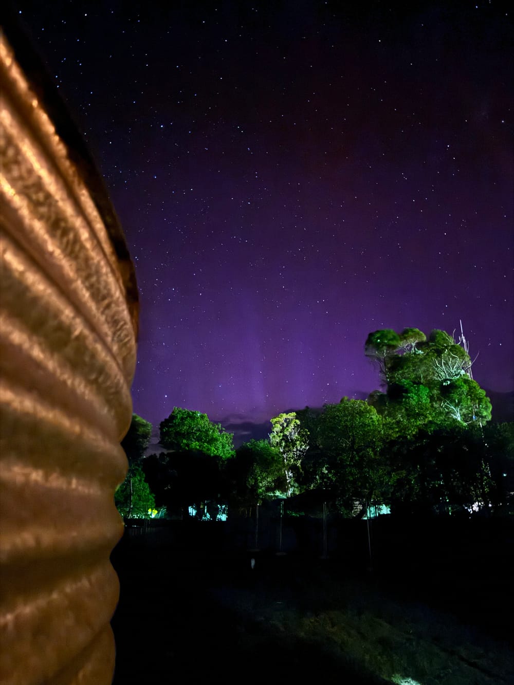 Nature's light show rings in new year post image