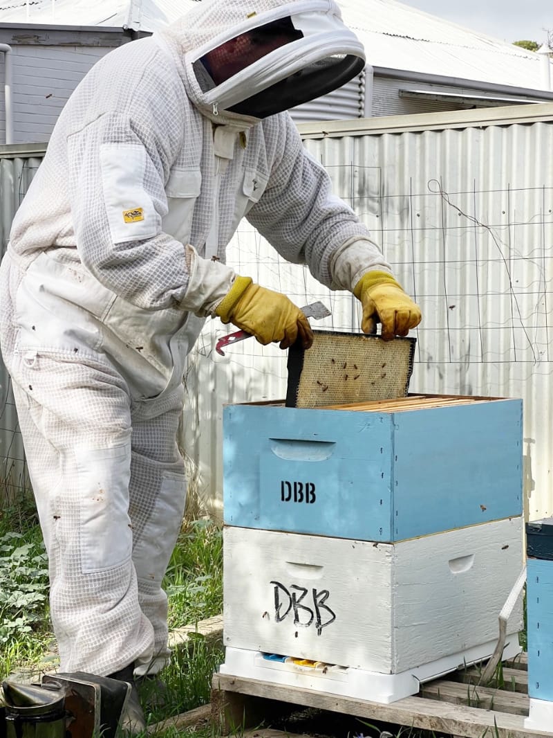 Dan’s bee-n keeping buzzy post image