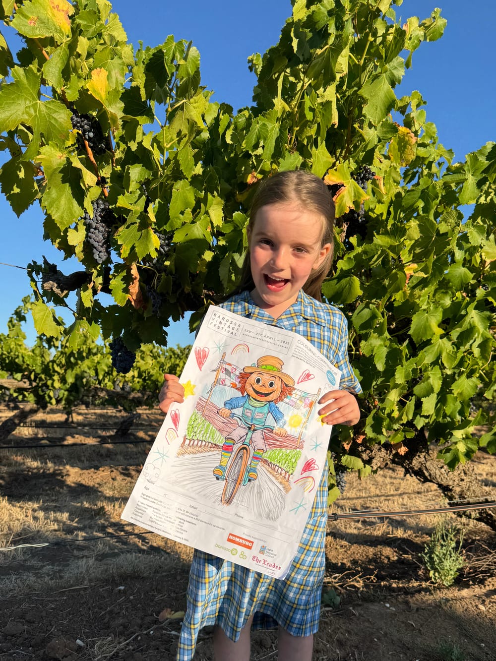 Adding colour to the Barossa Vintage Festival post image