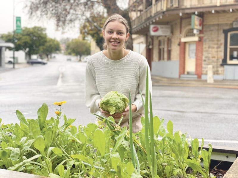 Barossa consumers hit an Iceberg post image