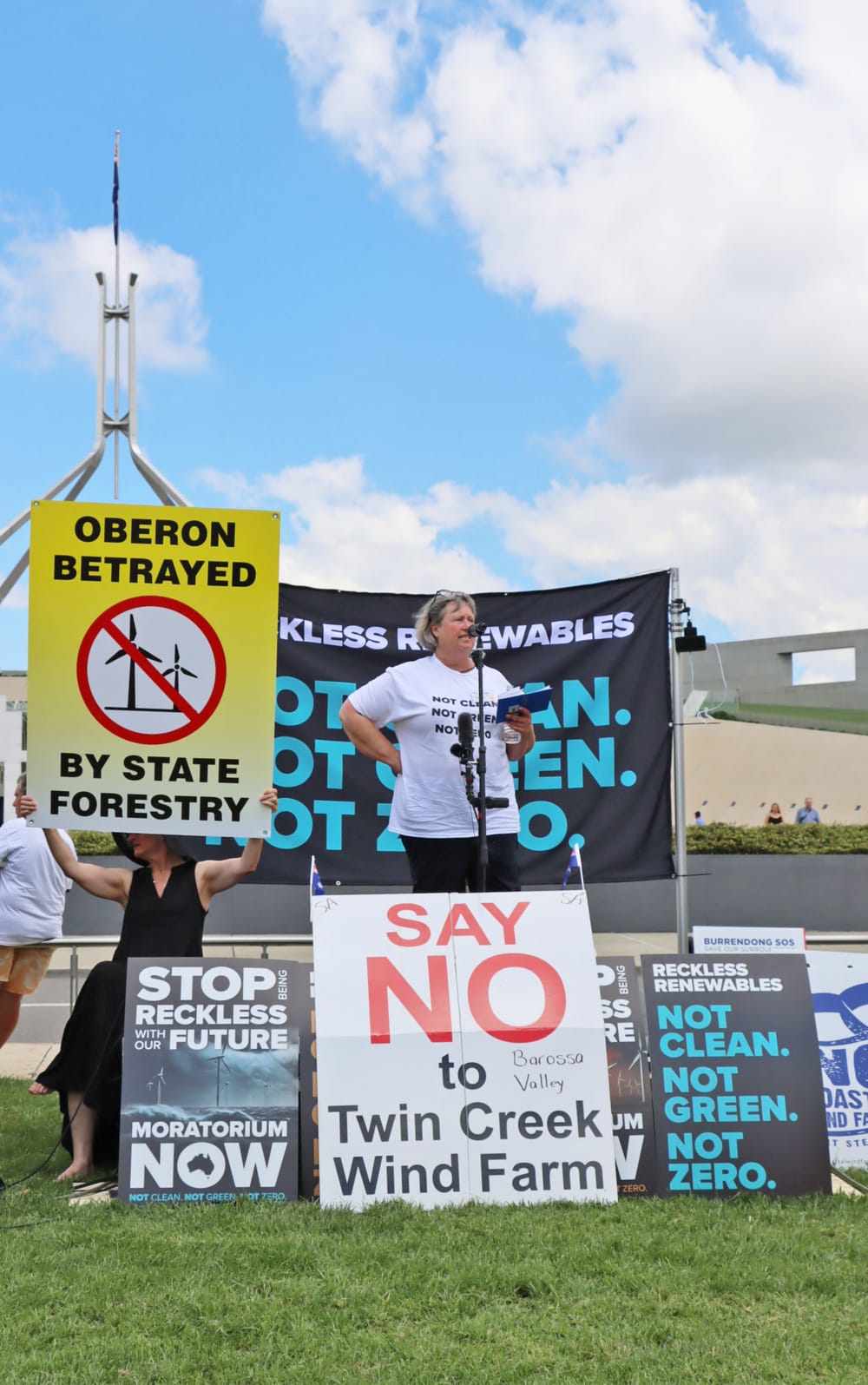 Local activist takes Twin Creek protest to Canberra post image