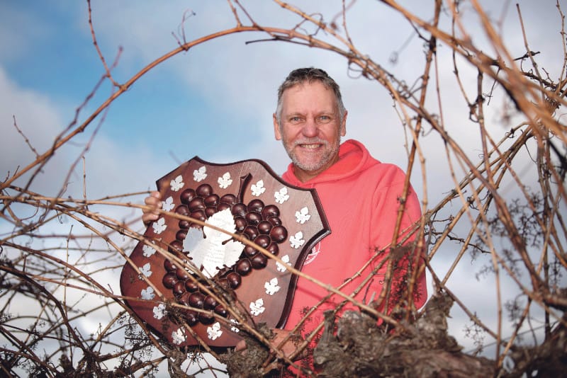 Hat-trick for Steve post image