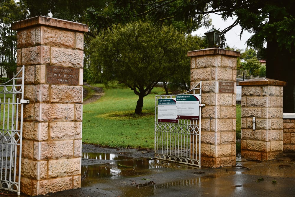 Tree damaged historical light post image