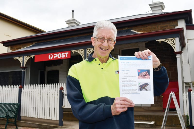 Truro’s cane toad tip-off post image