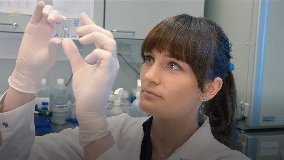 From Vienna to the Barossa post image