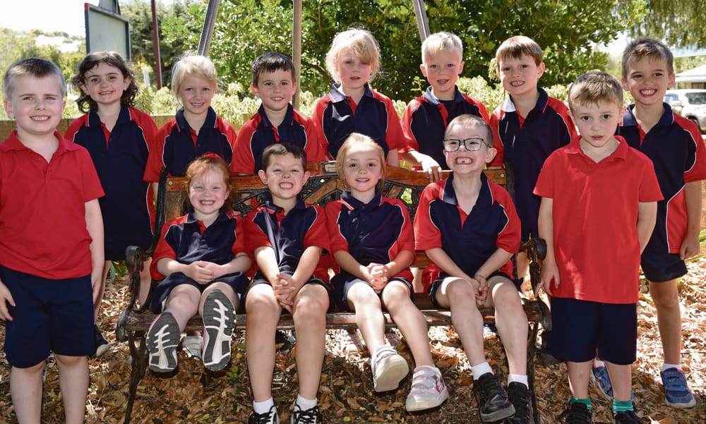 Who's new at school? post image