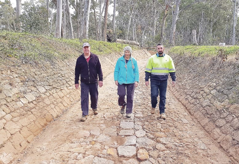 Treasure in The Pines exposed post image
