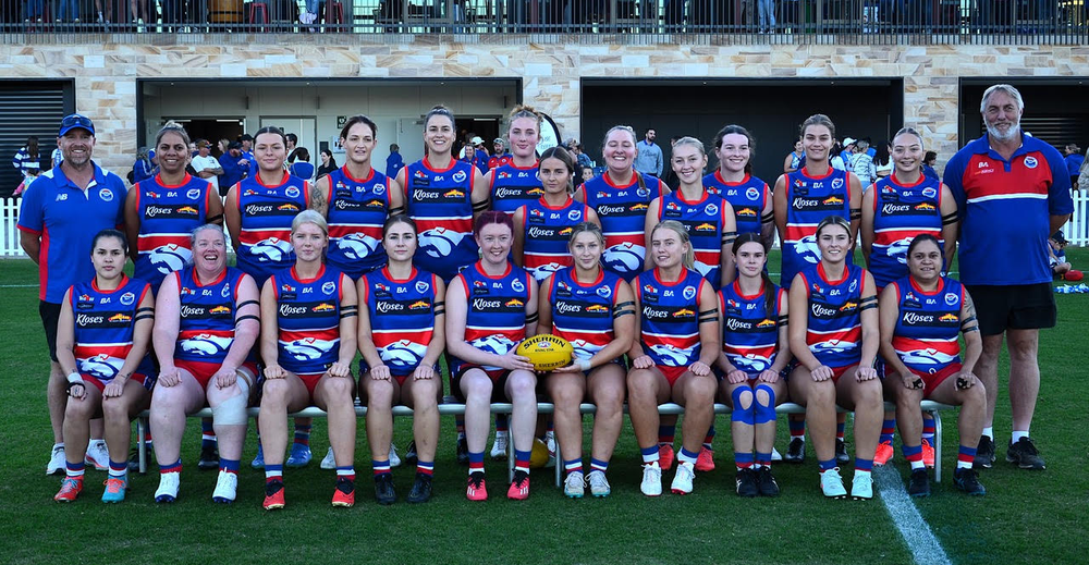 Dogs and Donnybrooks ready to do battle post image