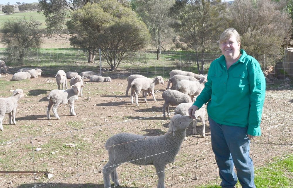 A snapshot of the drought - it's not over yet post image